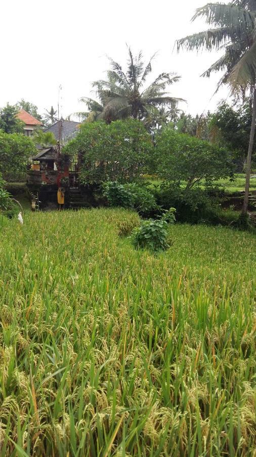 Pondok Tulasi Semaya House パヤンガン エクステリア 写真