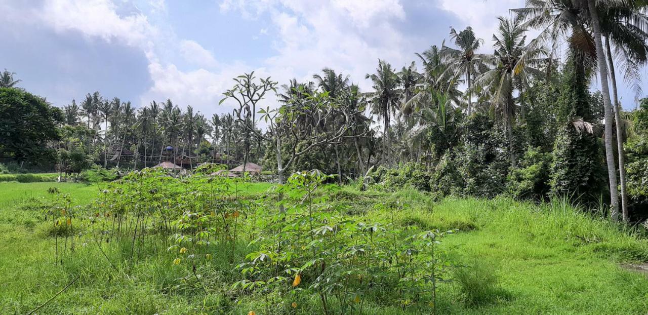 Pondok Tulasi Semaya House パヤンガン エクステリア 写真