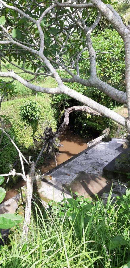 Pondok Tulasi Semaya House パヤンガン エクステリア 写真